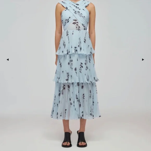 Self-Portrait | Dresses | Self Portrait Blue Floral Silhouette Chiffon Dress  | Poshmark